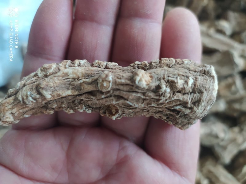 甘肃岷县当归头原色原味，高含量地道货源，原产地精选高品质