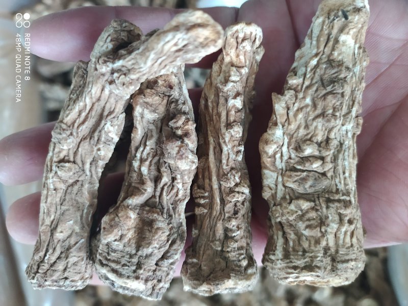 甘肃岷县当归头原色原味，高含量地道货源，原产地精选高品质