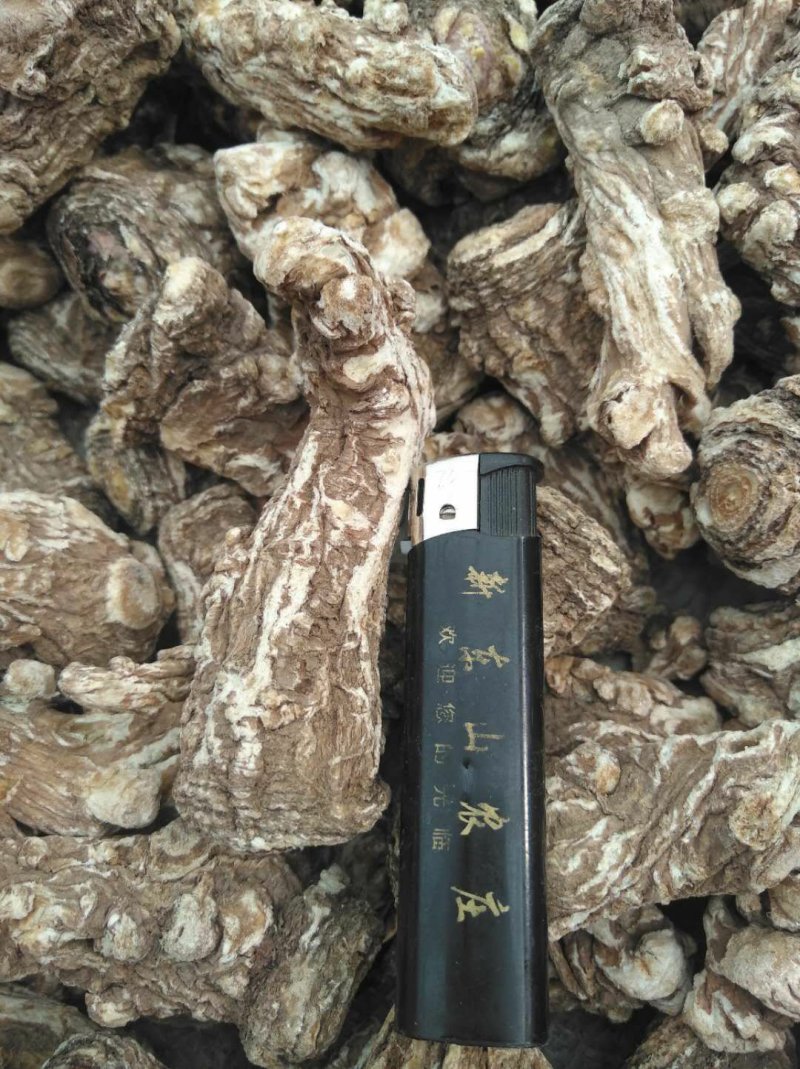 甘肃岷县当归头原色原味，高含量地道货源，原产地精选高品质