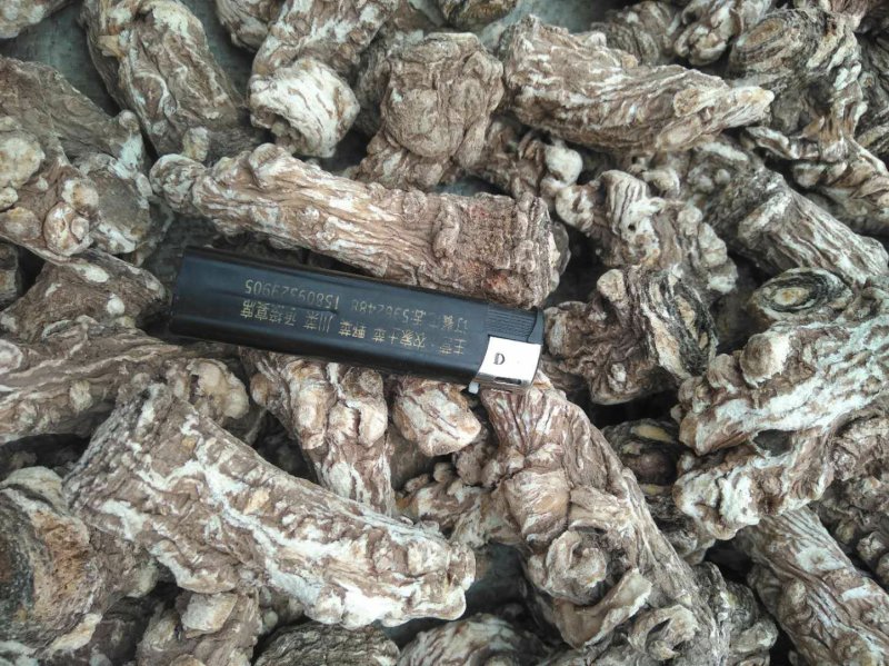 甘肃岷县当归头原色原味，高含量地道货源，原产地精选高品质
