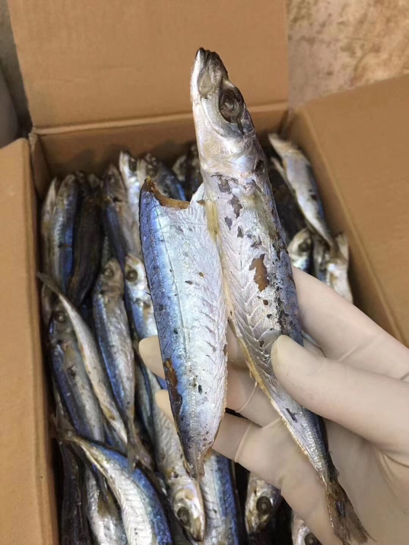 汕头市南澳岛农村人精心制作阳光爆晒优质鱼干