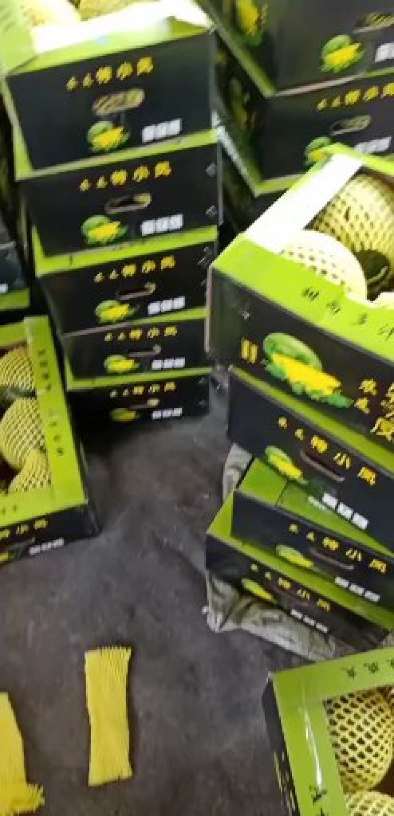 泗洪特小凤量大从优接单提供纸箱托盘标签现摘现发视频实地看货