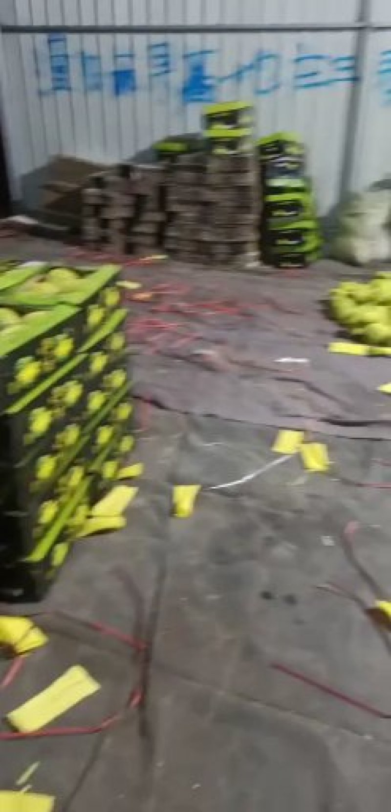 泗洪特小凤量大从优接单提供纸箱托盘标签现摘现发视频实地看货