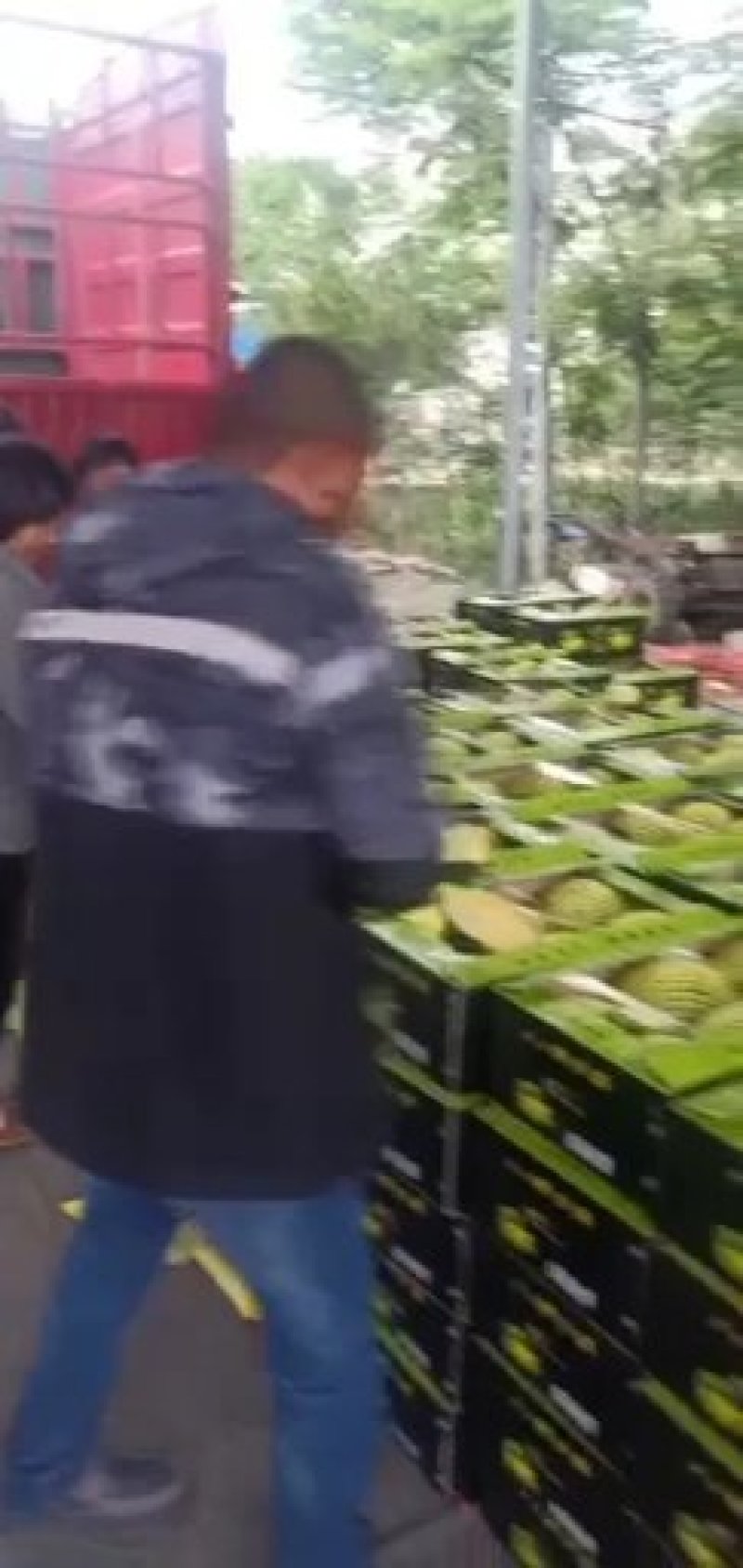泗洪特小凤量大从优接单提供纸箱托盘标签现摘现发视频实地看货