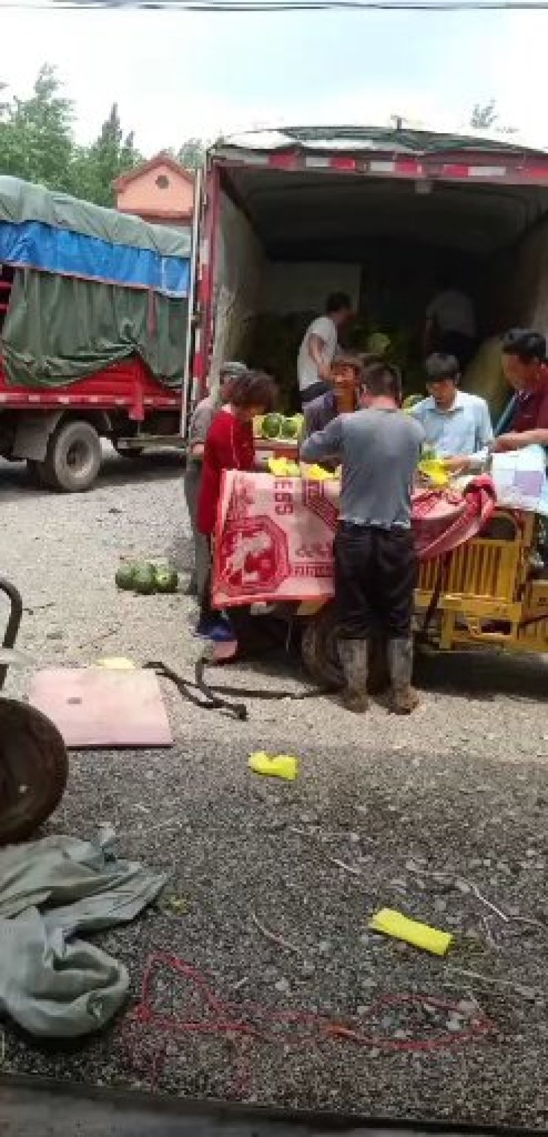 泗洪特小凤量大从优接单提供纸箱托盘标签现摘现发视频实地看货