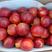 精品露天油桃，早48油桃，供应电商，代发全国各大水果市场