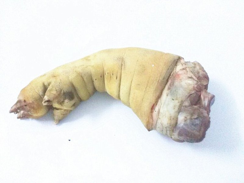 每天供应热鲜猪副产品，合作热线，何***********