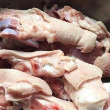 每天供应热鲜猪副产品，合作热线，何***********