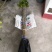木棉树，本地木棉，红花木棉，英雄树，攀枝花