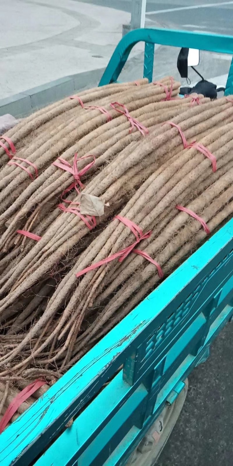 白玉山药铁棍山药，精品货，各种规格供应，支持全国发货