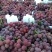 葡萄上市中