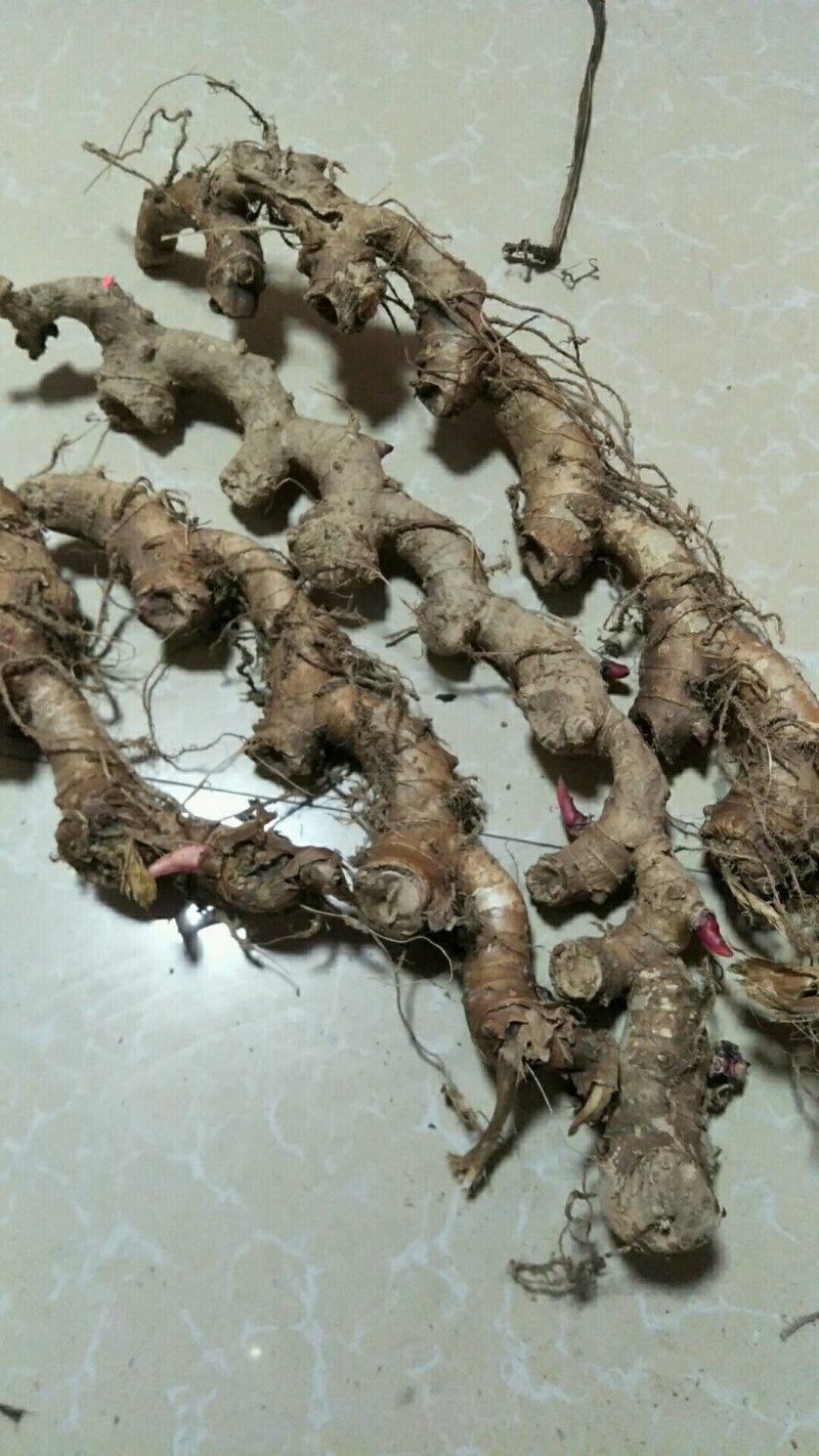 鲜货出售