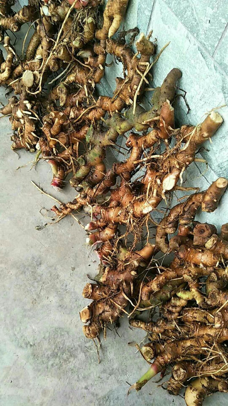 鲜货出售