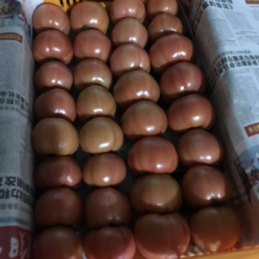 🍅