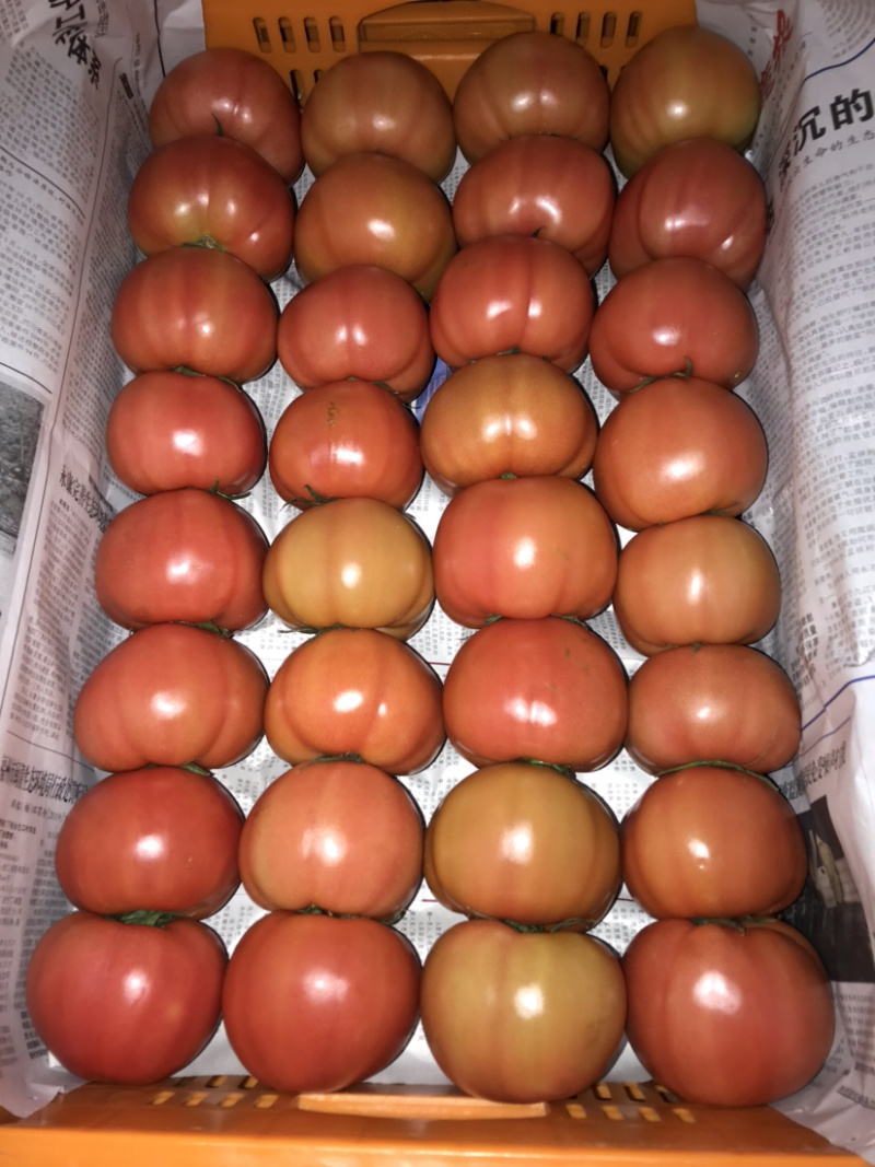 🍅