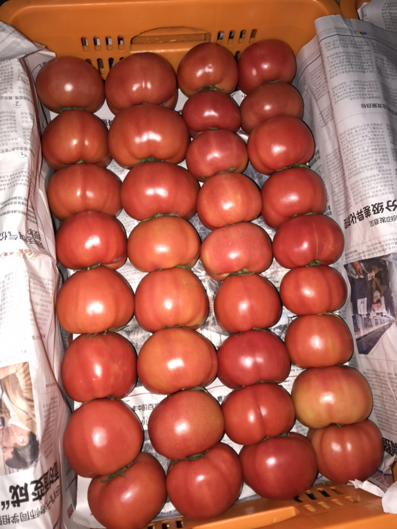 🍅