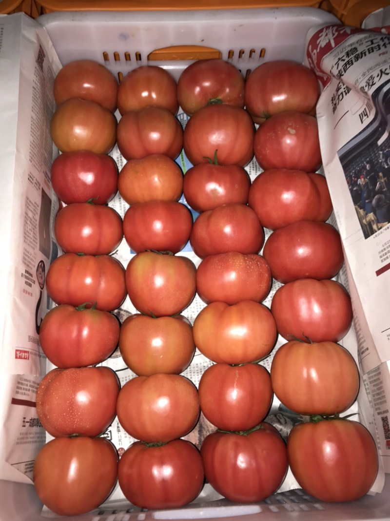 🍅