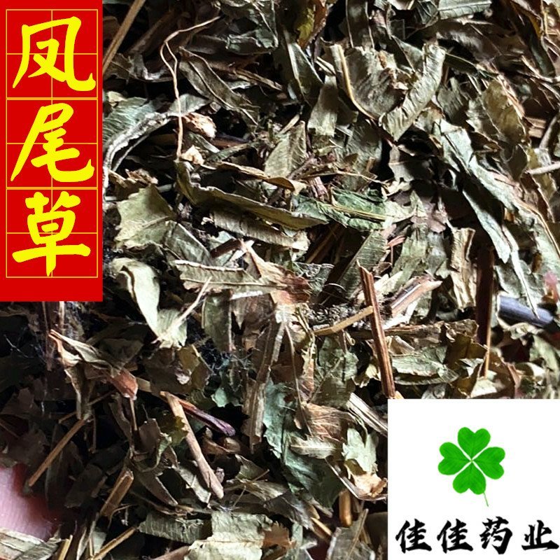 凤尾草颜色好过筛货货干量大从优供应各种中药材