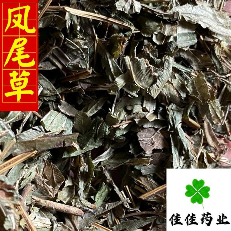 凤尾草颜色好过筛货货干量大从优供应各种中药材