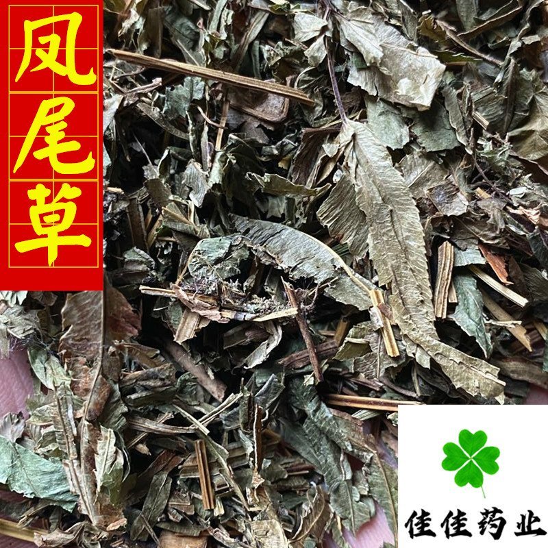 凤尾草颜色好过筛货货干量大从优供应各种中药材