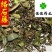 络石藤统货干净无杂质供应大货看规格下单