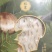 全国包邮云南精品野生菌FD冻干松茸