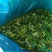 【优选商家】供应玉米全储，青储玉米，质量保证,可视频看货
