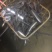 白鳗鱼苗鳗鱼苗已淡化养殖技术指导品种优良