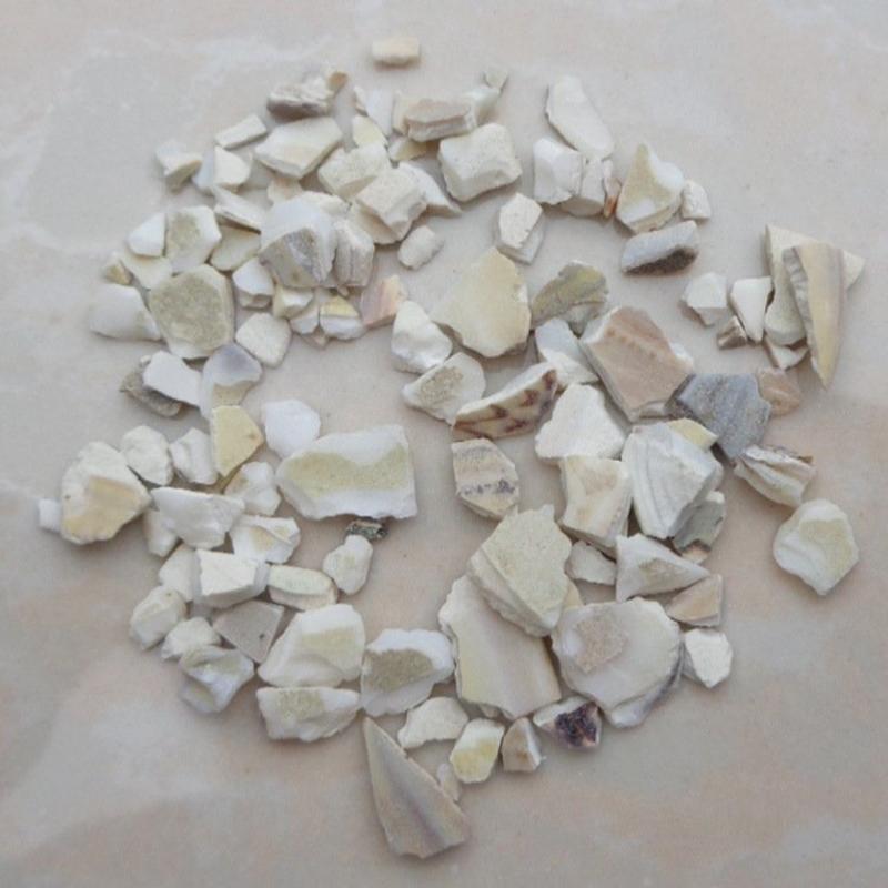 蛤壳海蛤壳无硫净货保正品批发零售各种矿石