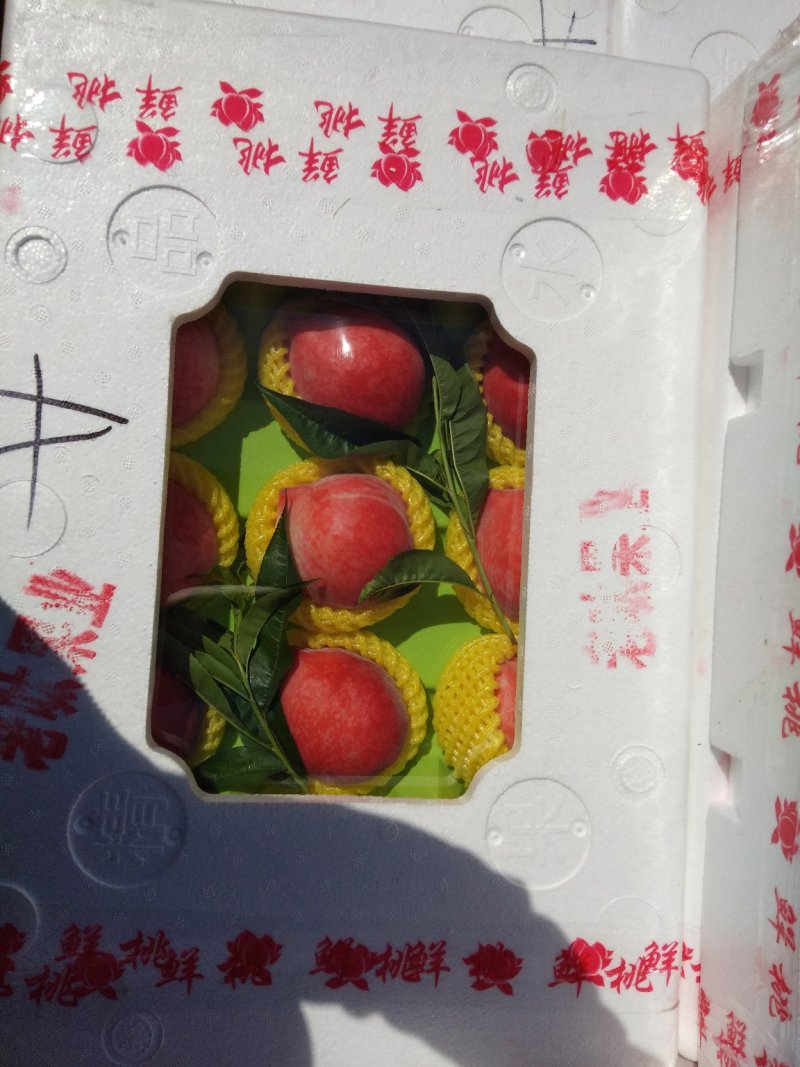 精品大量棚桃上市口感好，颜色亮耐运输，欢迎客户前来收购