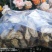 葛根云南野生葛根干片，自封袋装，一袋1000g