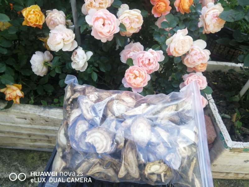 葛根云南野生葛根干片，自封袋装，一袋1000g
