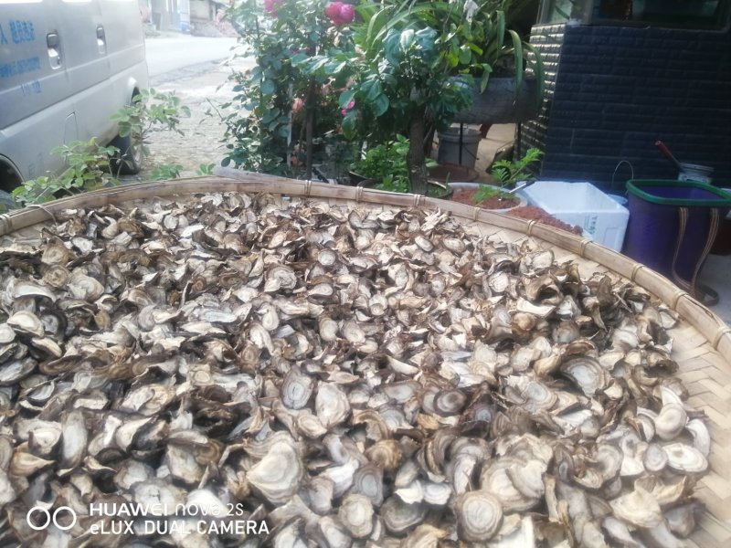 葛根云南野生葛根干片，自封袋装，一袋1000g