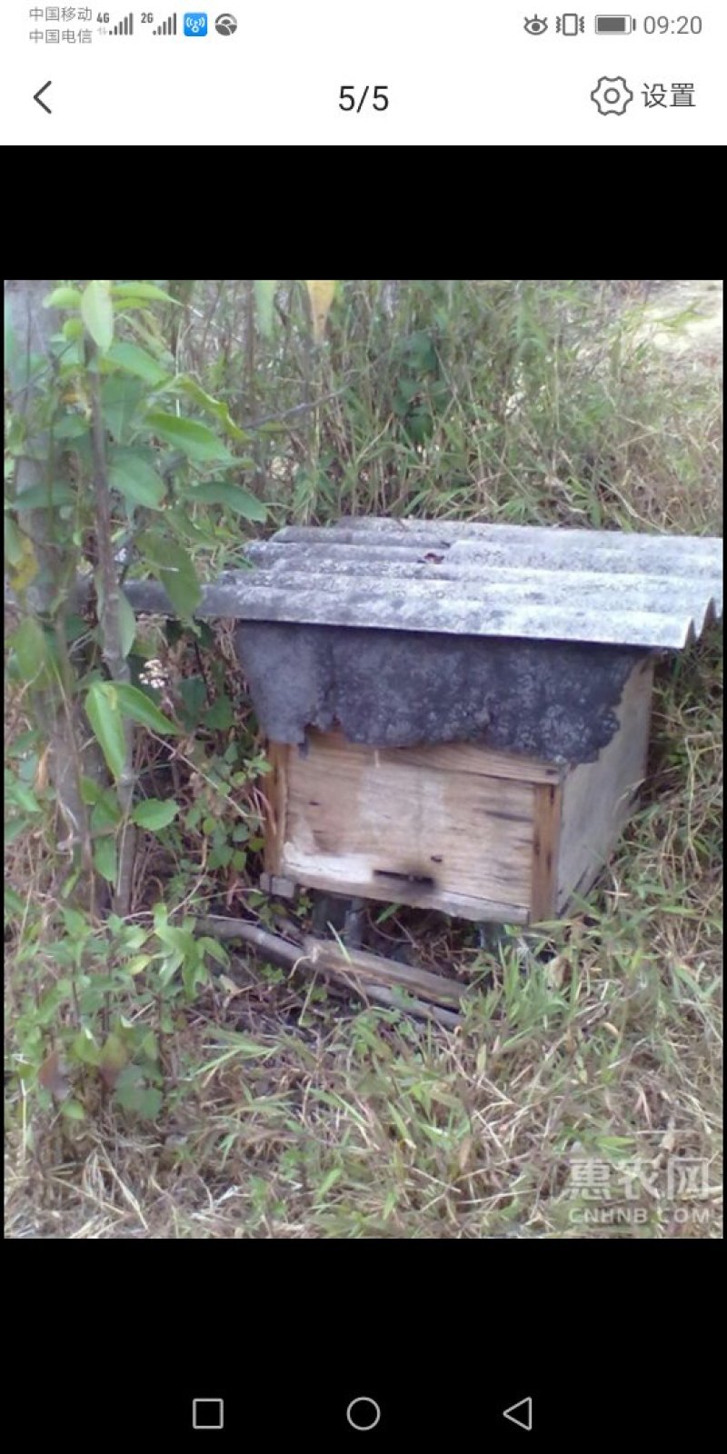蜂巢云南自家养的蜂巢，盒装一盒一公斤