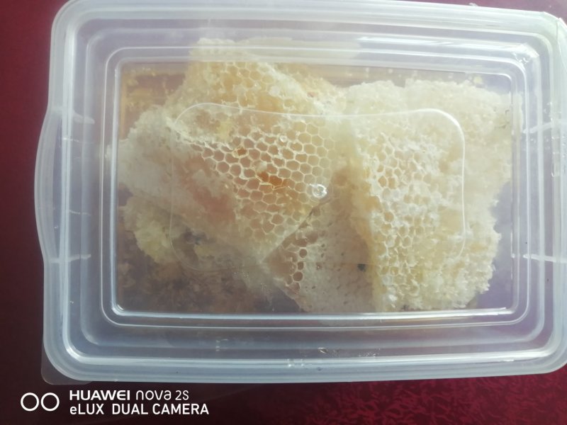 蜂巢云南自家养的蜂巢，盒装一盒一公斤