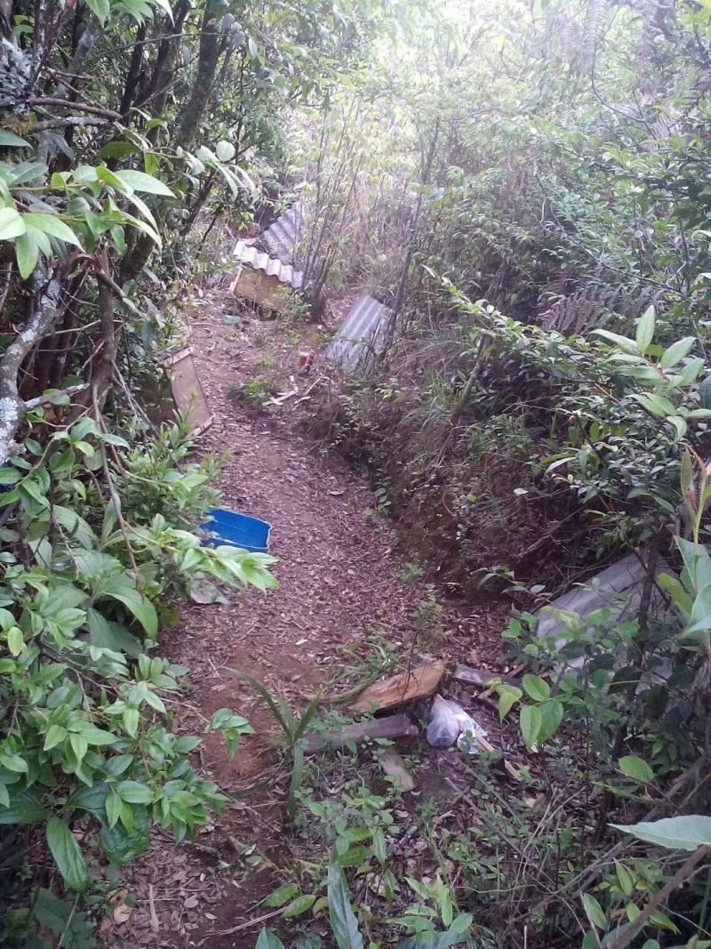 蜂巢云南自家养的蜂巢，盒装一盒一公斤