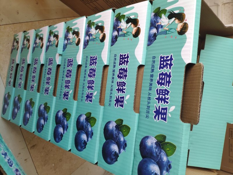 丹东蓝莓代收，批发，一件代发