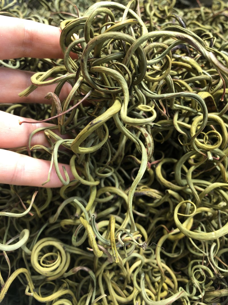 〈好货〉化石草，野生化石草，颜色绿，一手货源，肾精茶