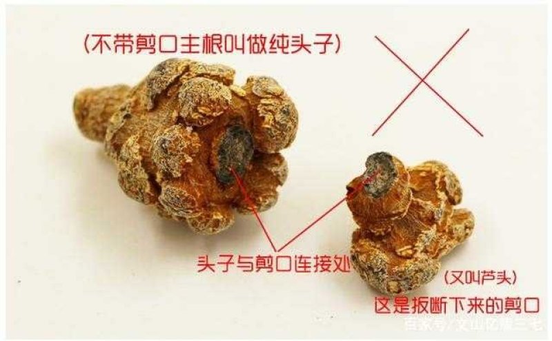 【产地直销】正宗云南文山三七田七三七切片可磨粉包邮
