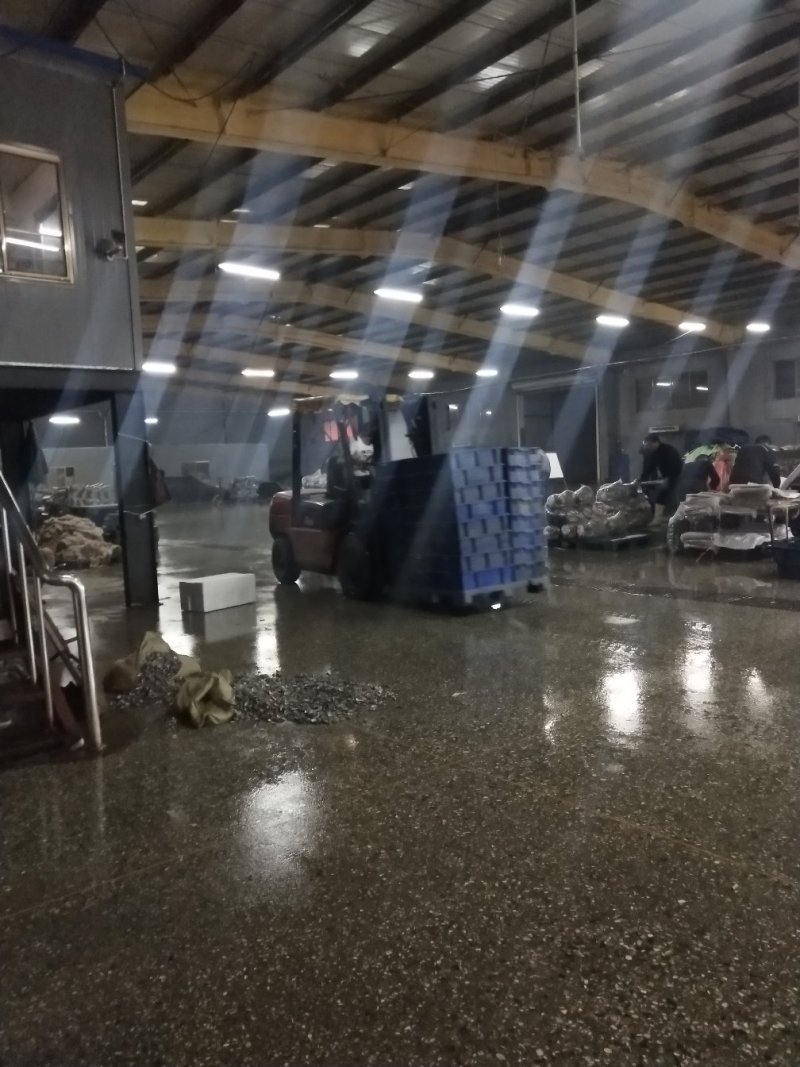 无沙花甲原料筛选中