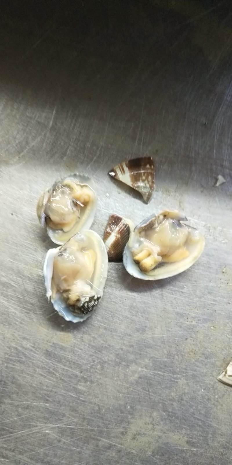 无沙花甲原料筛选中
