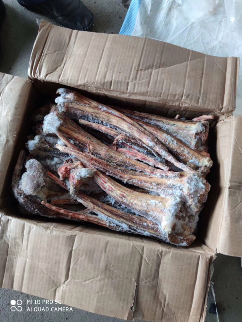 驴尾巴精品驴尾巴颜色鲜，质量好，扒皮尾巴