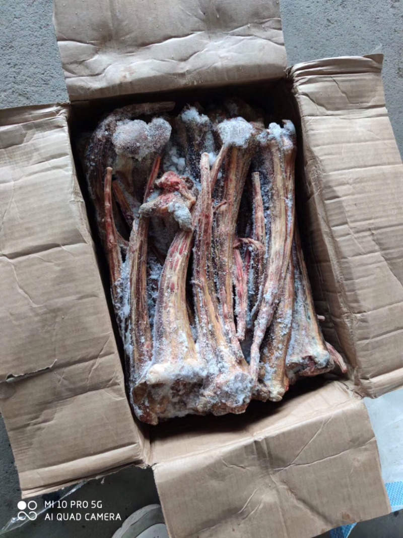 驴尾巴精品驴尾巴颜色鲜，质量好，扒皮尾巴