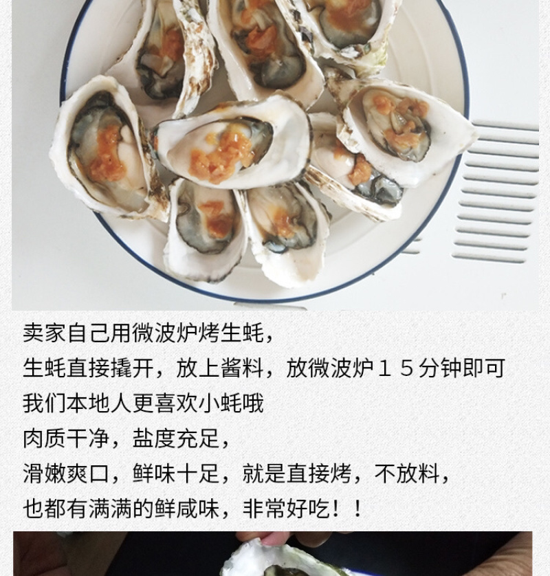 网红家庭版生蚝3斤小包装海蛎贝壳新鲜牡蛎贝壳