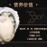 网红家庭版生蚝3斤小包装海蛎贝壳新鲜牡蛎贝壳