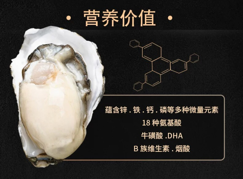 网红家庭版生蚝3斤小包装海蛎贝壳新鲜牡蛎贝壳