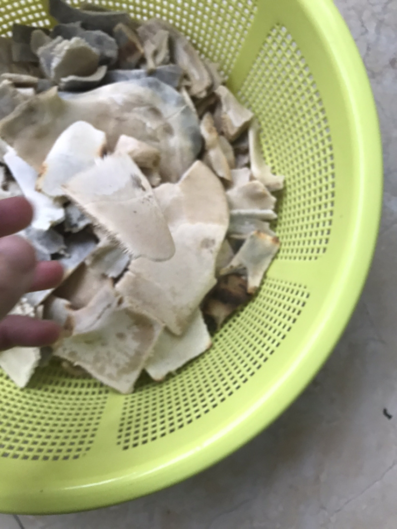 龟板