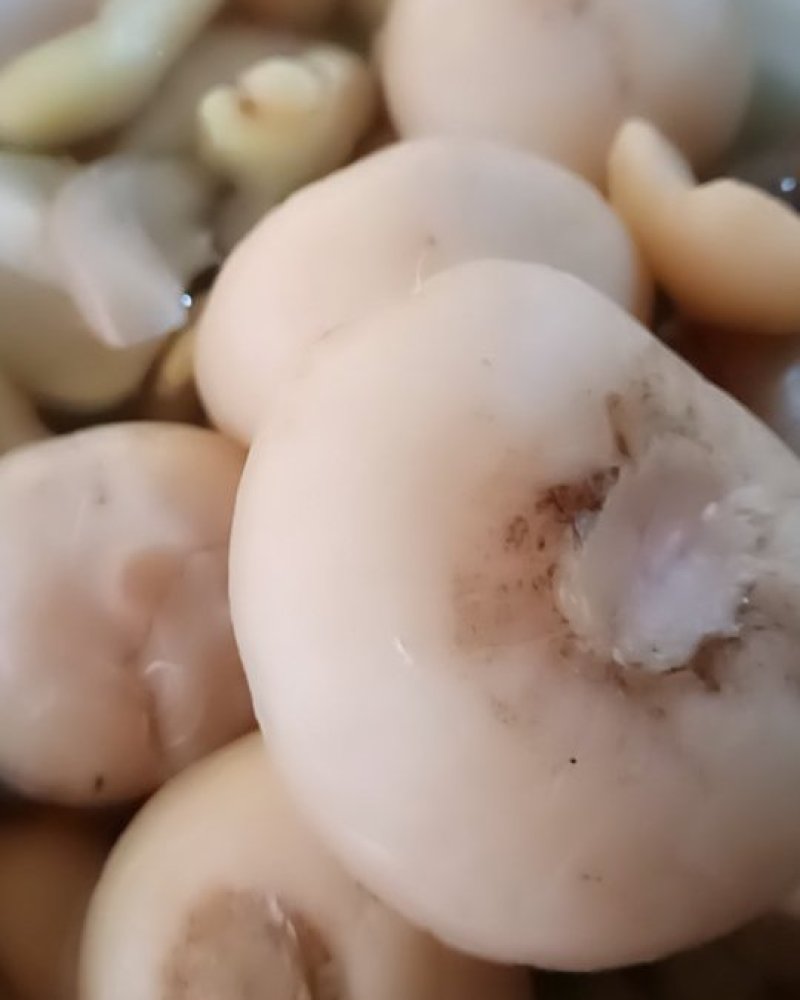 【泡菜】泡椒泡椒。量大速购。腌制好了。