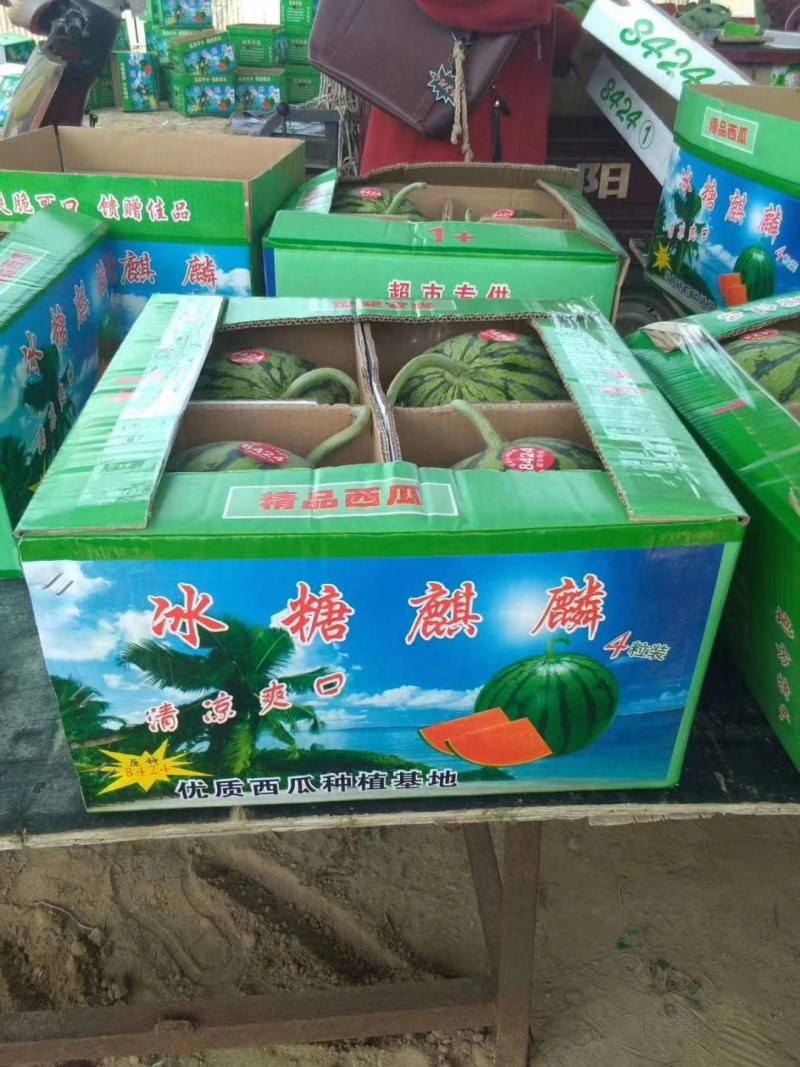 精品优质无籽美都西瓜6斤打底9成熟1茬，供市场超市