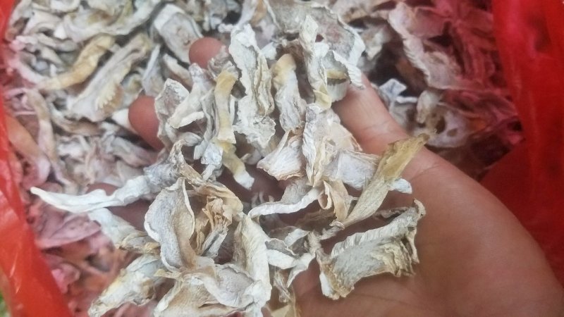 高山野生竹笋干绿色营养